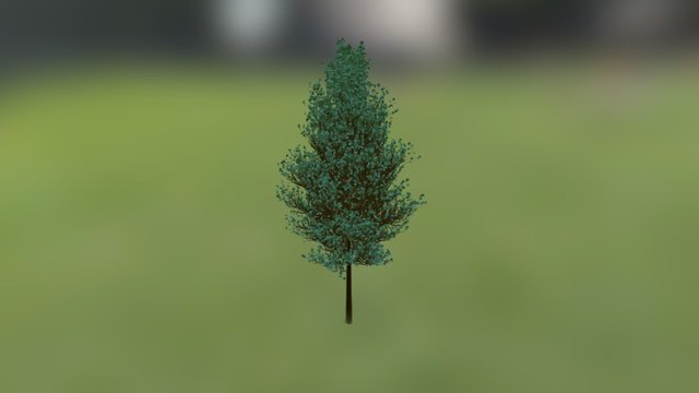 Обычное дерево 3D Model