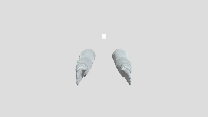 2014 Arm Rig (original game banana) 3D Model