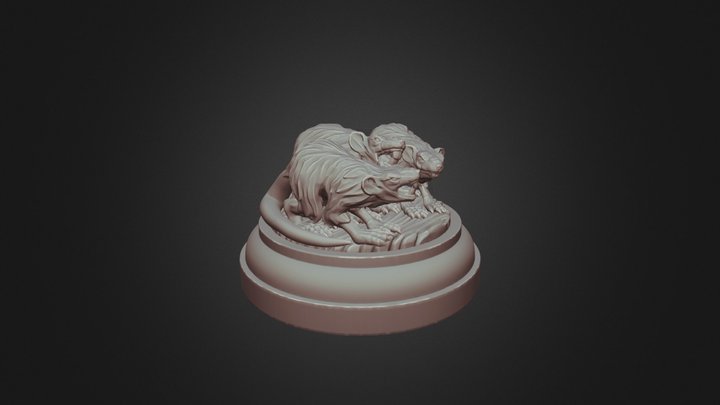 Rets 3D Model