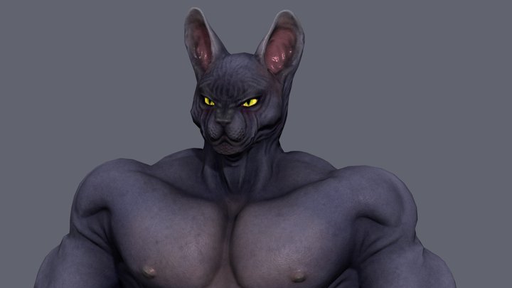 catman a-pose 3D Model