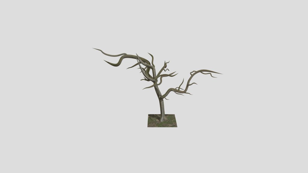 Leafless Tree