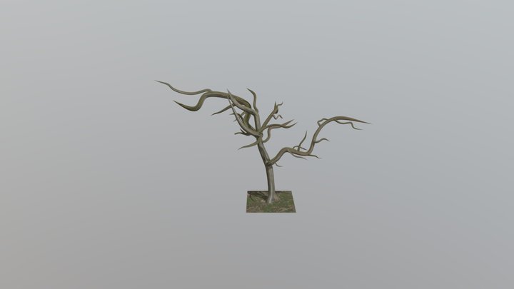 Leafless Tree