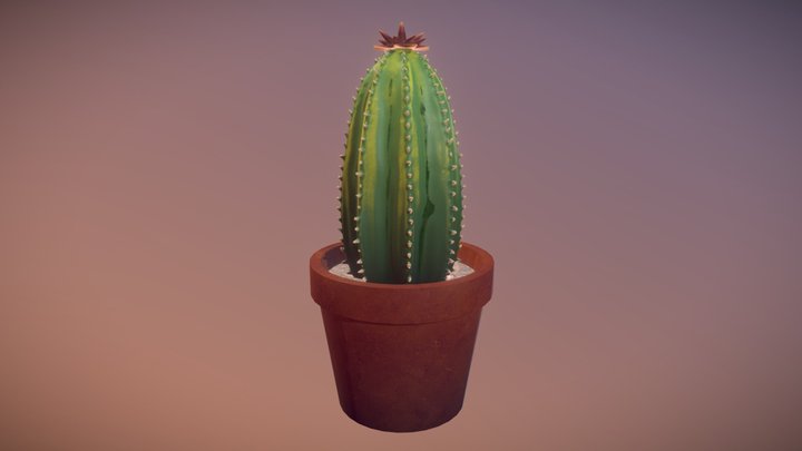 #3December Cactus 3D Model