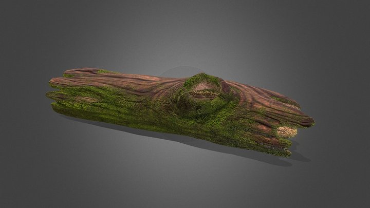Stylised Log: Redbud Lowpoly 3D Model