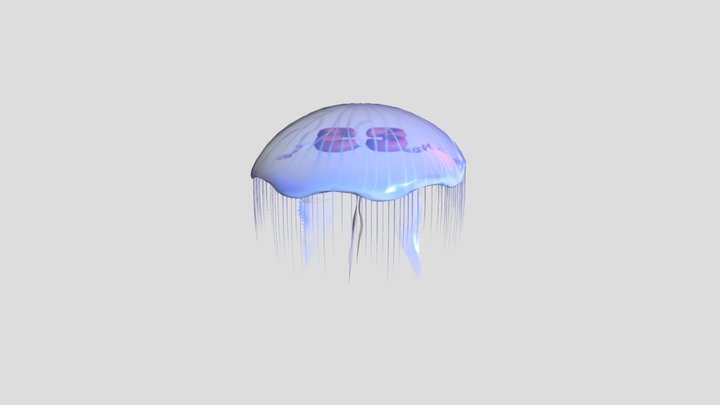 moon jellyfish 3D Model