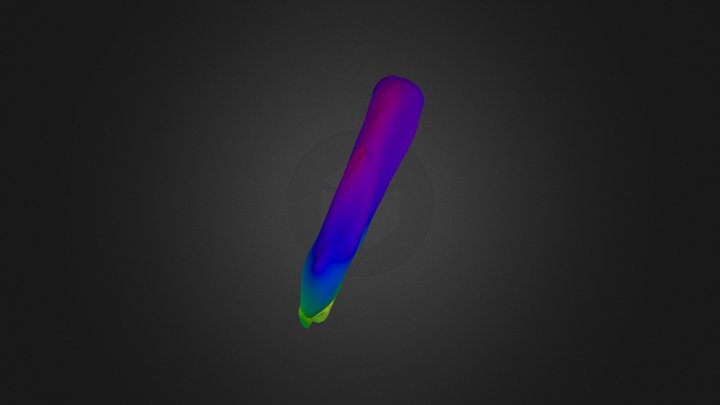 MySecondDisk 3D Model
