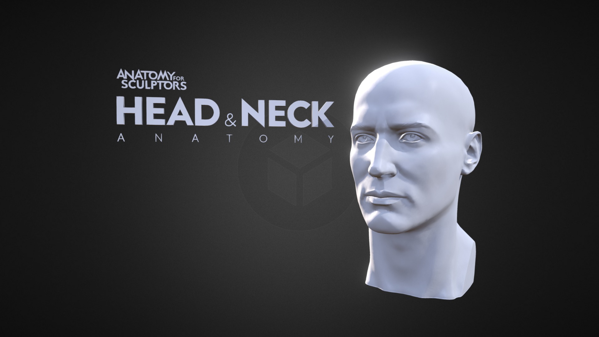 A4S Head & Neck Anatomy 3D model by Anatomy Next (a4s) [fb58d5c] Sketchfab