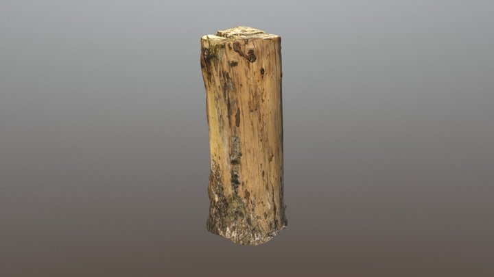 Scanned Stump 3D Model