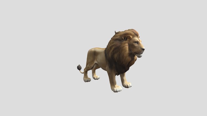 Lion 3D Model