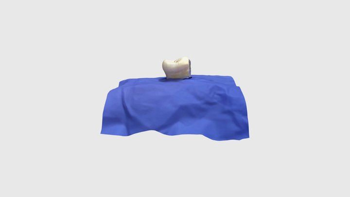 02 3D Model