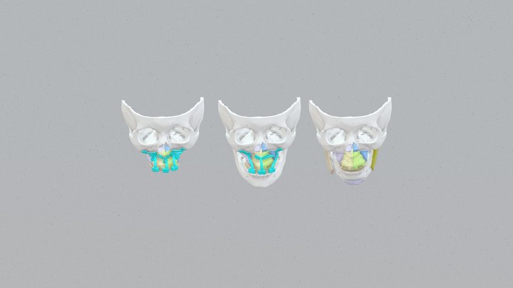 20260212 3D Model