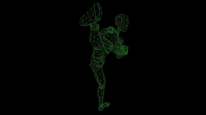 Roundhouse Kick 3D Model