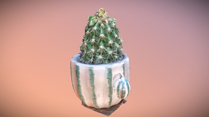 Cactus in a pot_#AgisoftNatureChallenge 3D Model