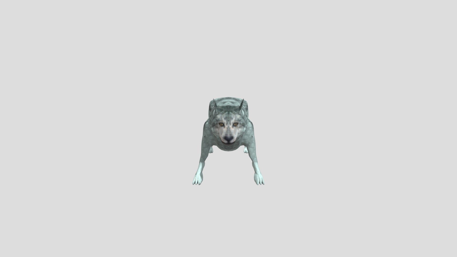 Uploads Files 1947050 Wolf