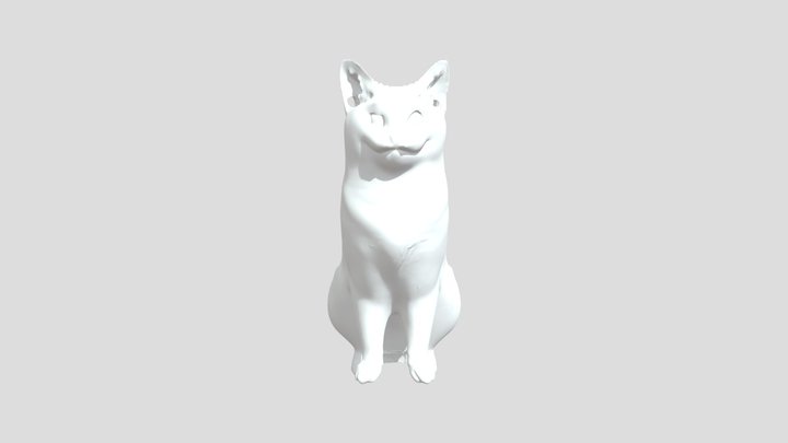 Белуга кот 3D Model