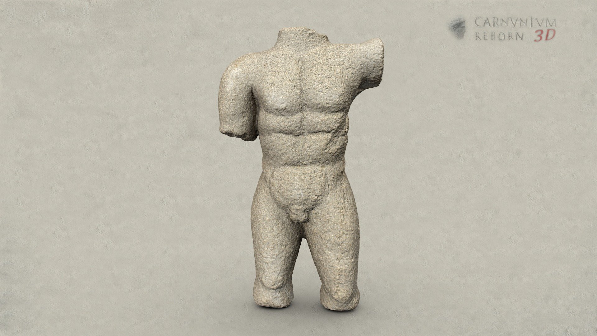 Torso — Sketchfab embed 3D viewer
