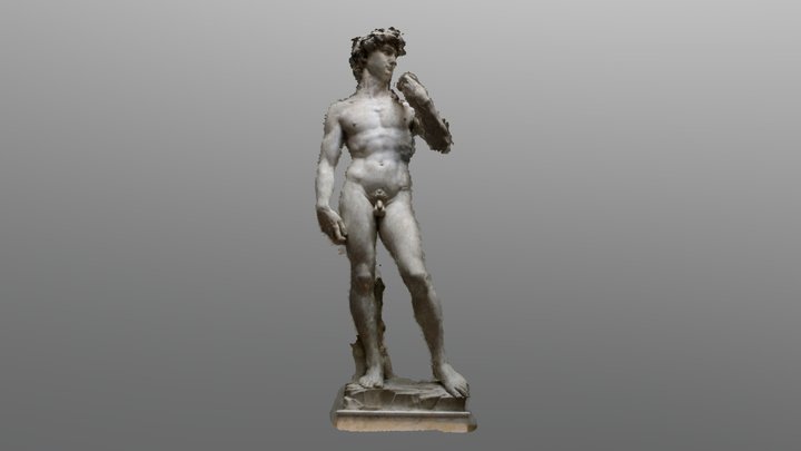 David Photoscan from Google Images 3D Model