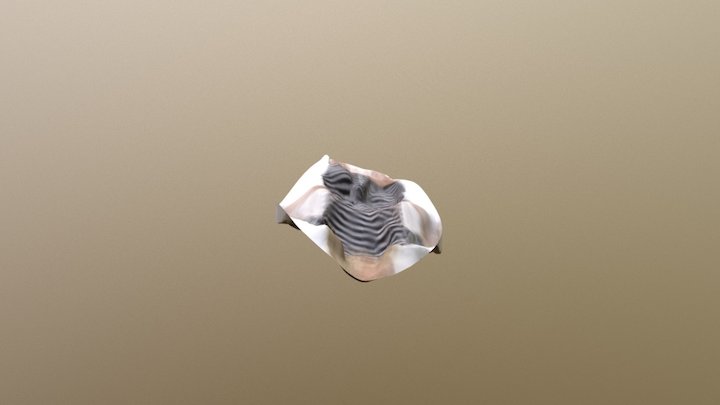 A 3D Model