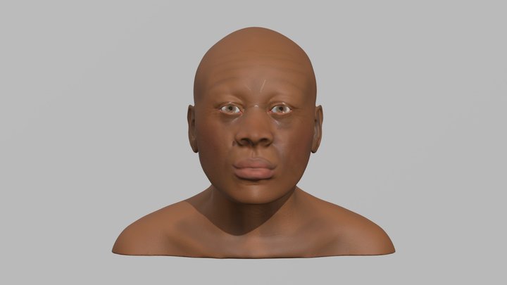 Facial Approximation BC-178: Realistic Depiction 3D Model