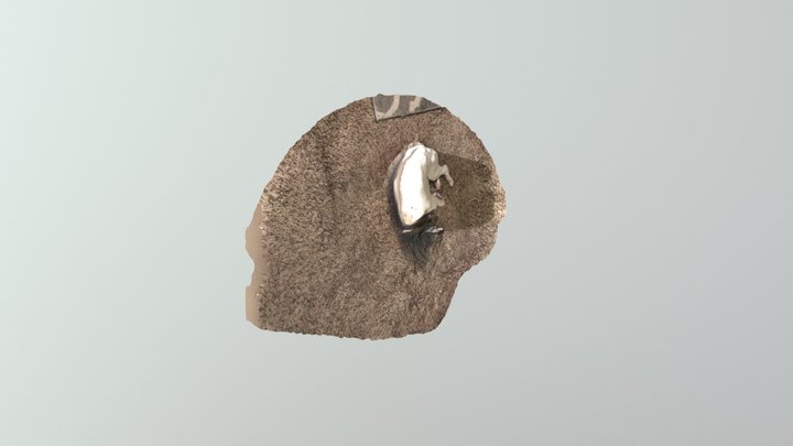 Samantha one 3D Model