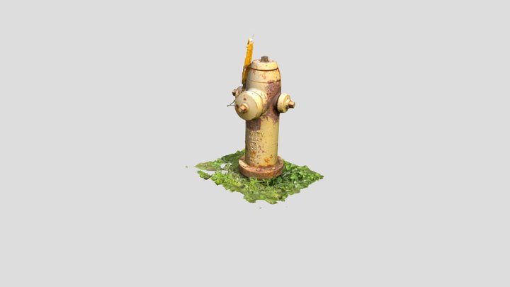 Fire-Hydrant-Photogrammetry-Test 3D Model