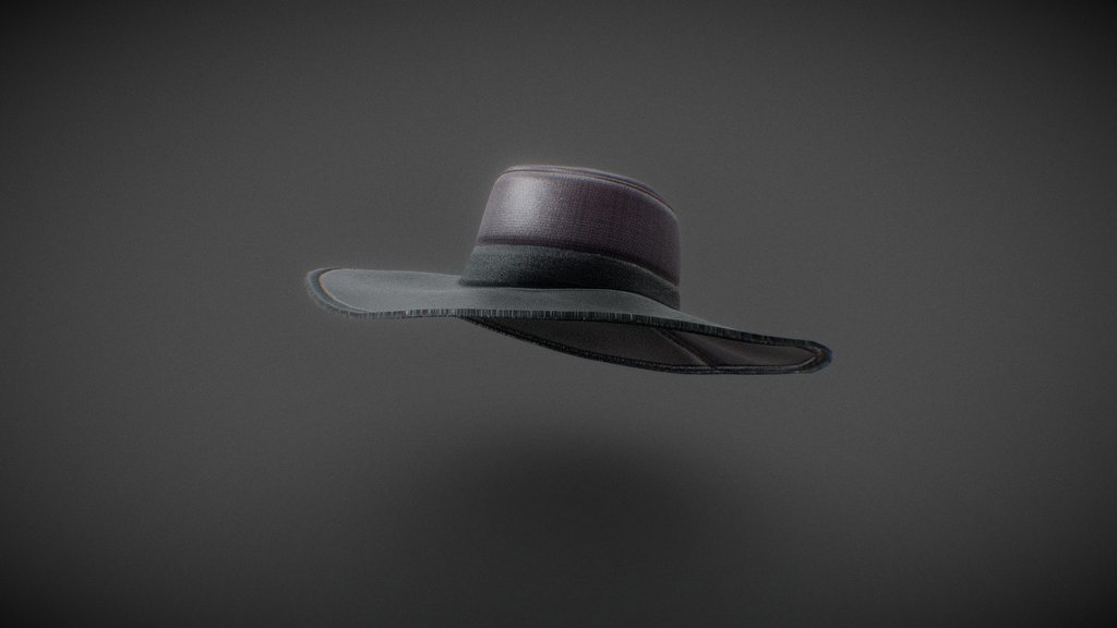 Simple Hat For Ray II