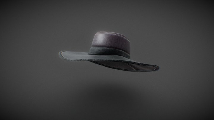 Simple Hat For Ray II