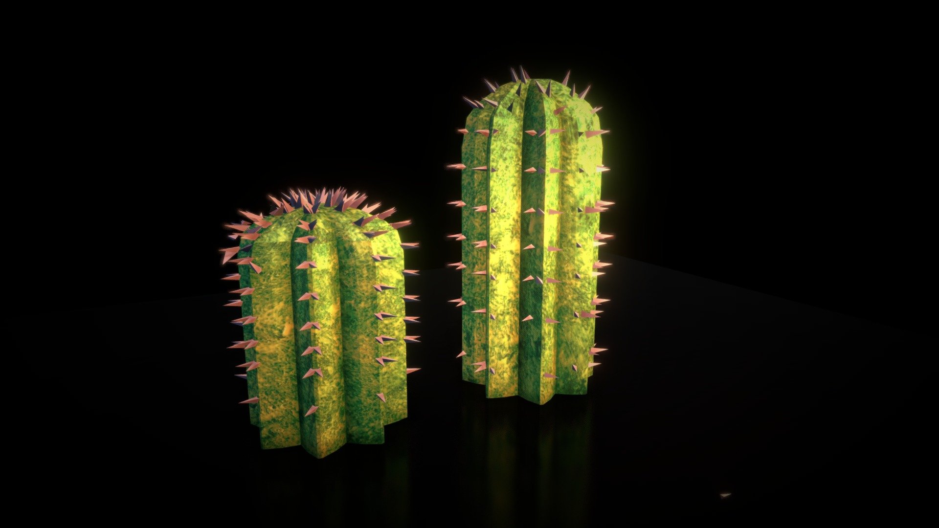 Little Caktos
