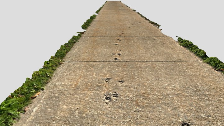 Cat Tracks in Concrete Sidewalk 3D Model