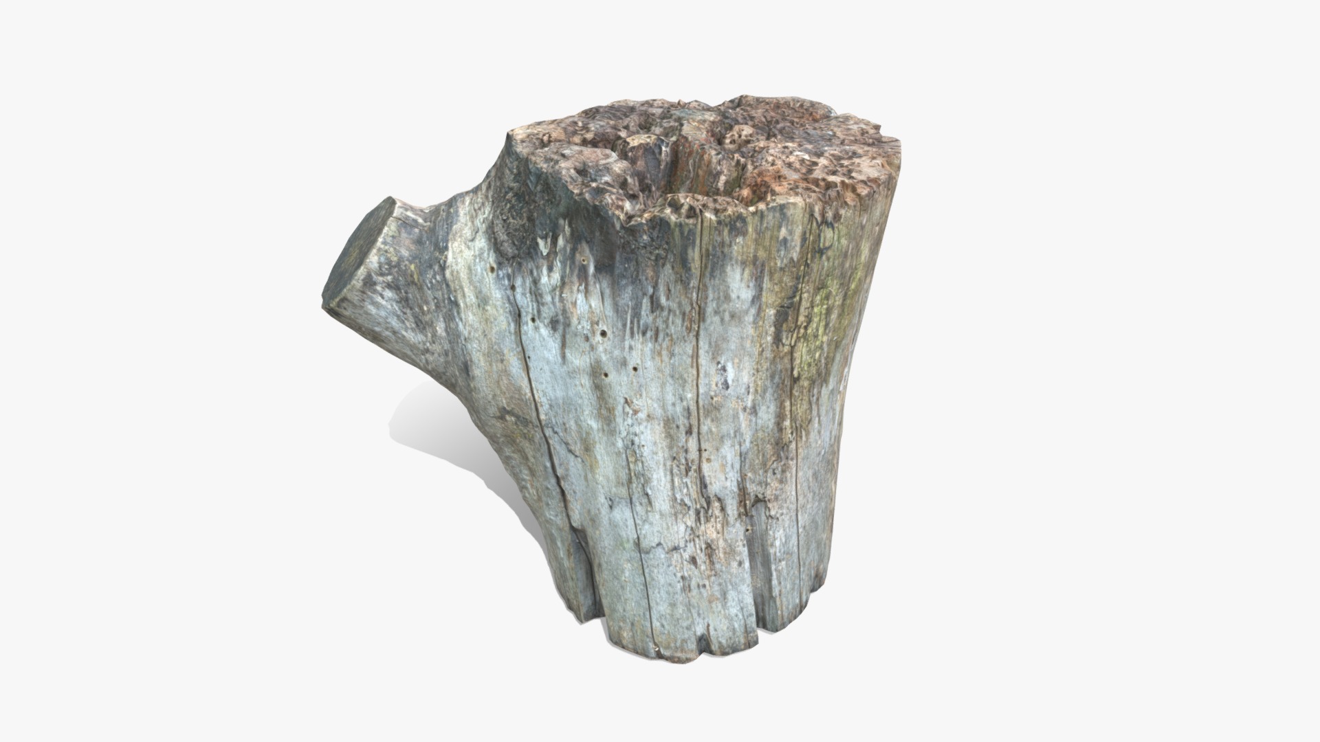 3D model Log Round with Branch - This is a 3D model of the Log Round with Branch. The 3D model is about a close-up of a stone.