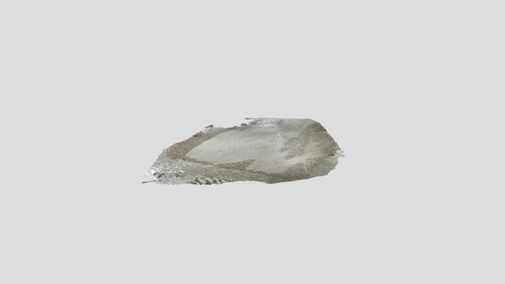 Parting Lineations 3D Model