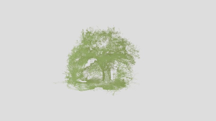 Old Oak Merged Depthmap 3D Model