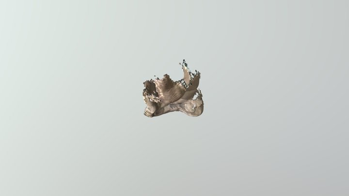 Buda gris 3D Model