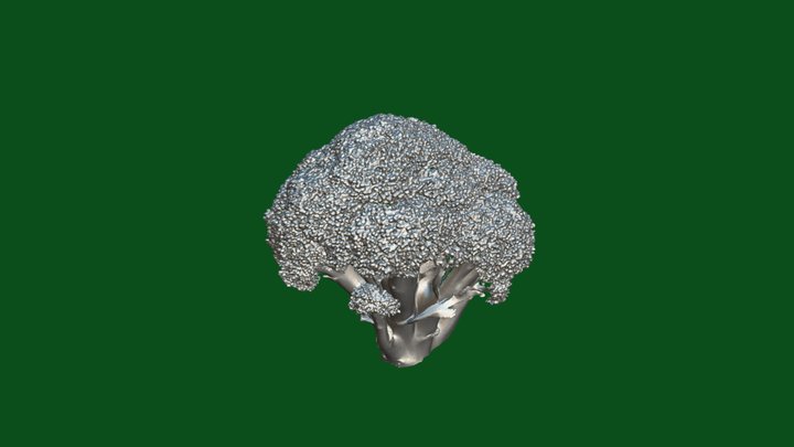 broccoli blue-light Fine – Modello 3D gratuito STL