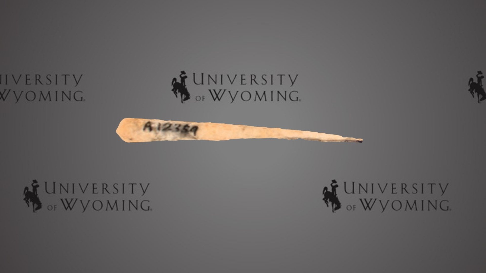 UWG A12354 C