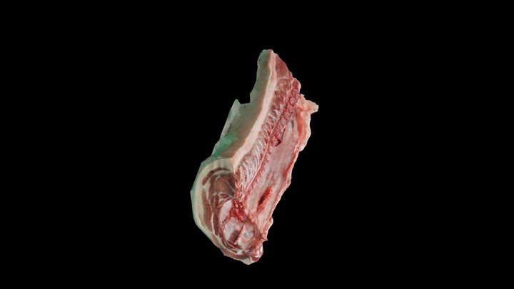 豚　大分割　ロースばら 3D Model