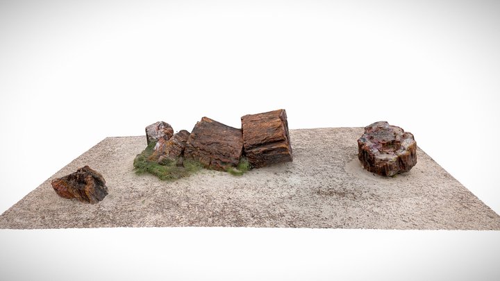 Petrified Forest National Park Petrified Logs 3D Model