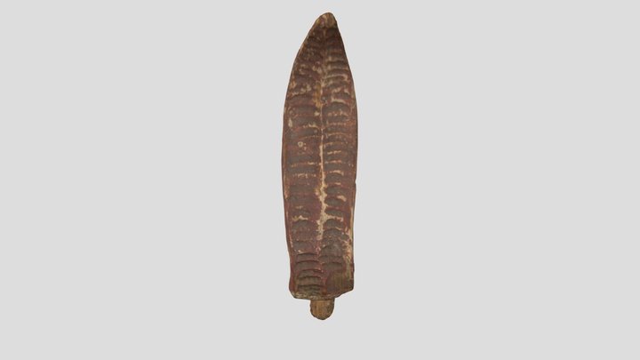 Dragon's Tongue (BK-NM-11363-B) 3D Model