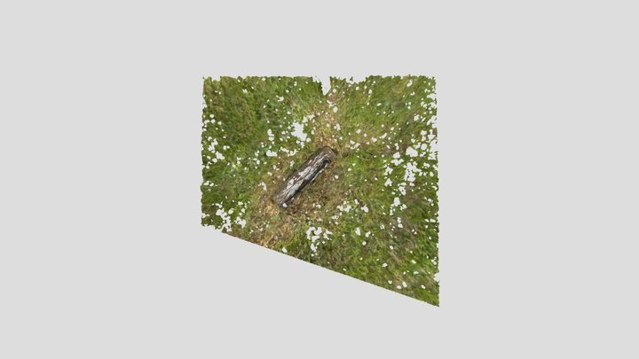 My stunning 3D model from photos 3D Model