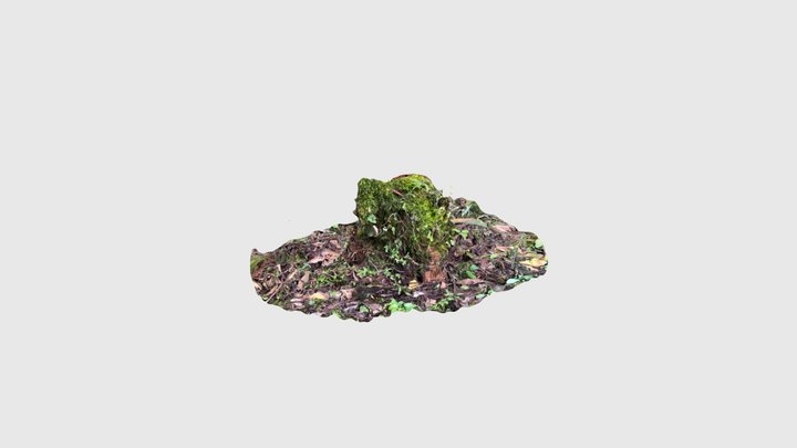 03 3D Model