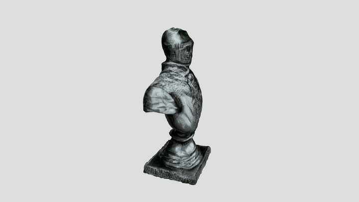input_16 3D Model
