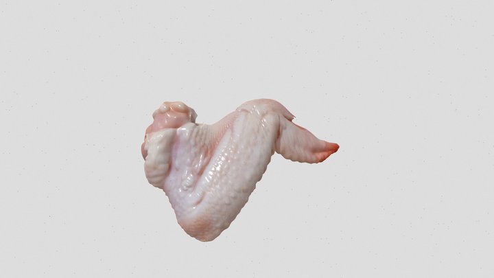 raw chicken wing 3d model – Kostenloses 3D-Modell STL
