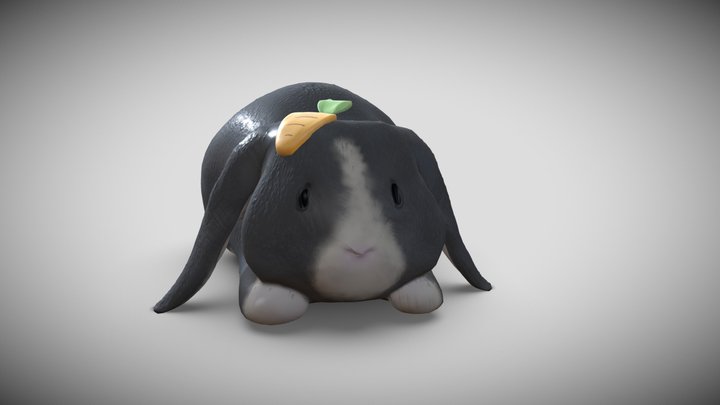 Lottie 3D Model