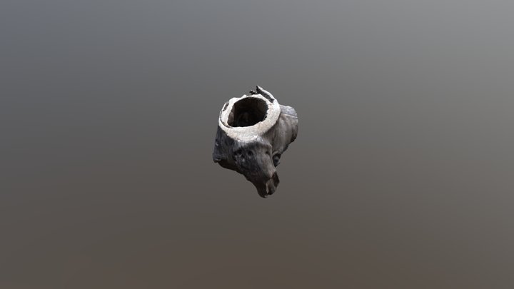 Log 3D Model