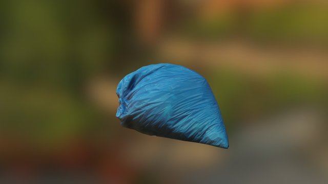 photogrammetry blue garbage bag 3D Model