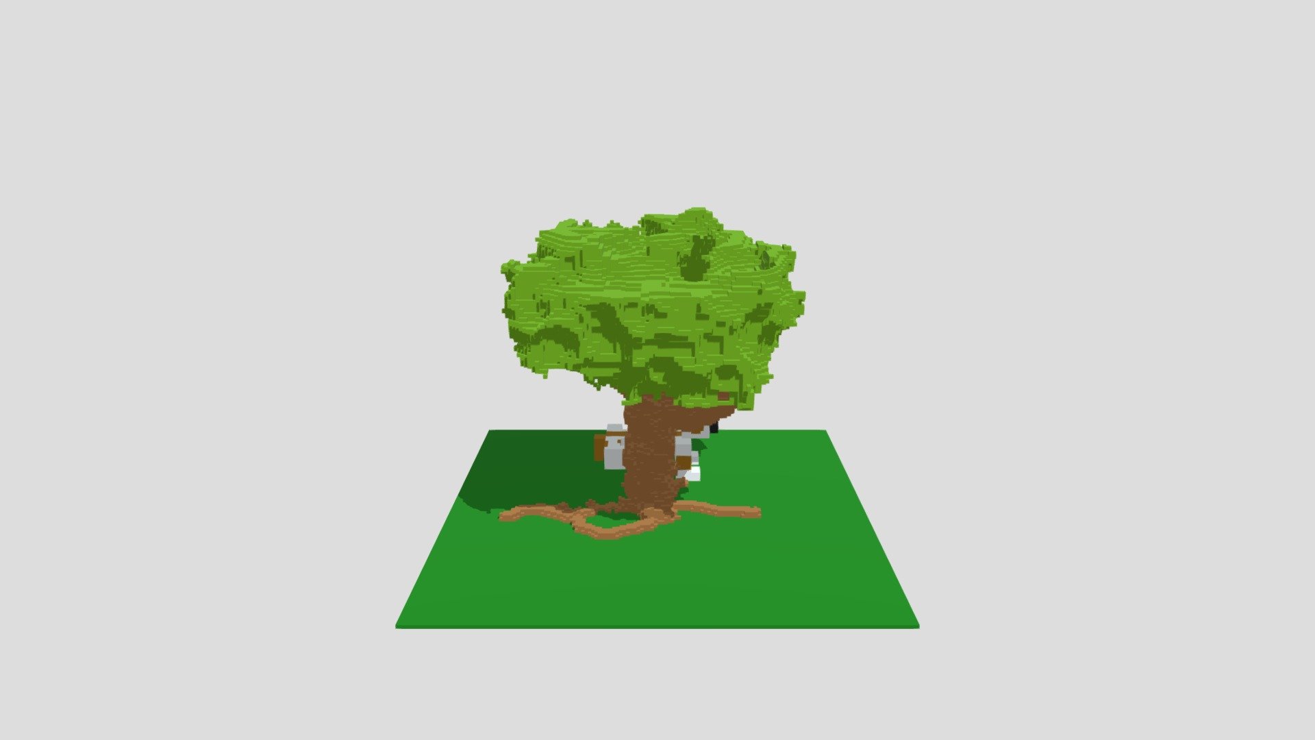 Tree With Dog