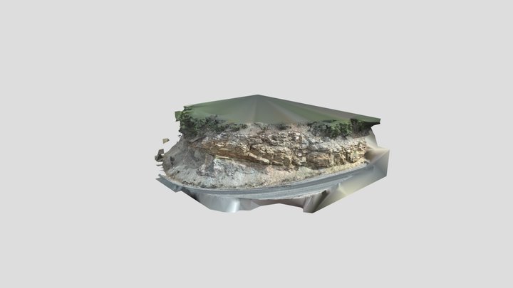 Outcrop #1 3D Model