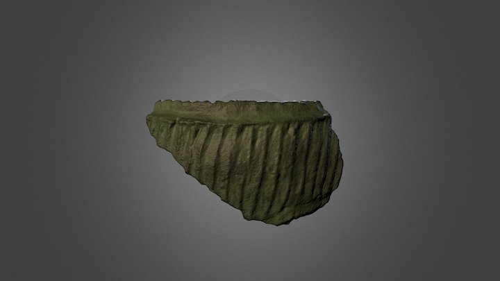 Frammento-vaso-preistorico 3D Model