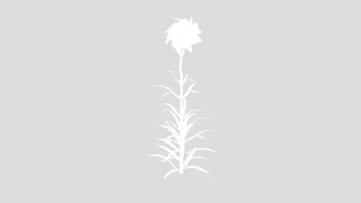 Fantasy Flower