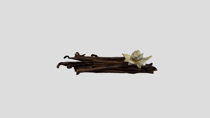 Vanilla sticks 3D Model